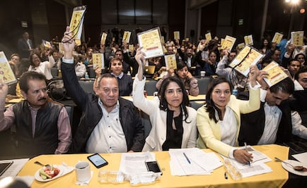 PRD aprueba renovar su dirigencia nacional el 9 de diciembre