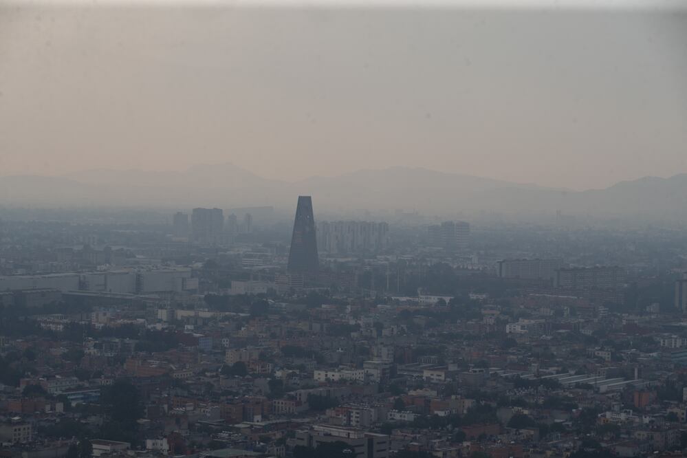 Foto: Diego Simón Sánchez / EL UNIVERSAL 