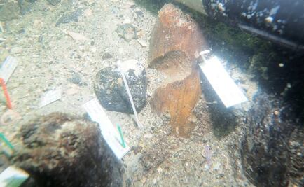 Relacionan fosas comunes prehistóricas con tsunamis