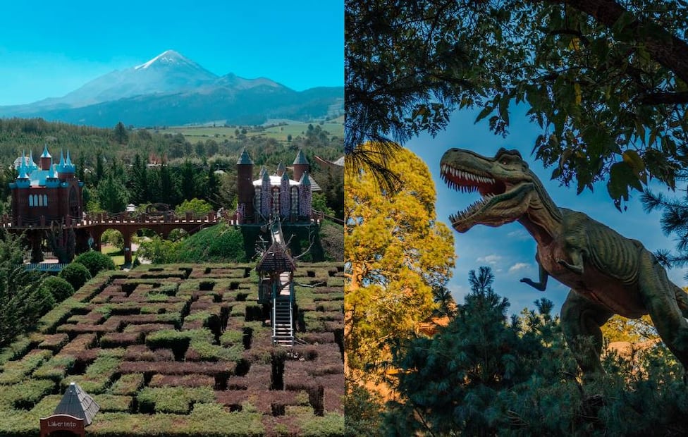 Fotos: Volcanic Park