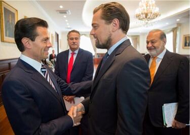 Organizations express doubts regarding agreement to save tiny porpoise