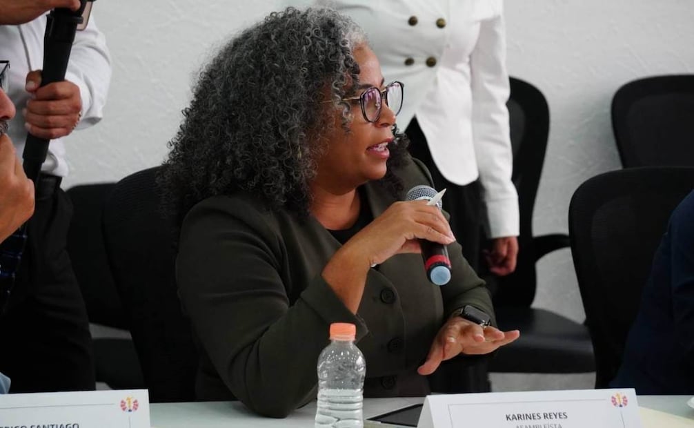 Los legisladores de Nueva York, Estados Unidos estaban encabezados por Karines Reyes, asambleísta del Distrito siete del Bronx.
(02/09/26)
Foto: Especial
