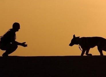 El afecto entre humanos y perros se remonta a hace 14 mil años