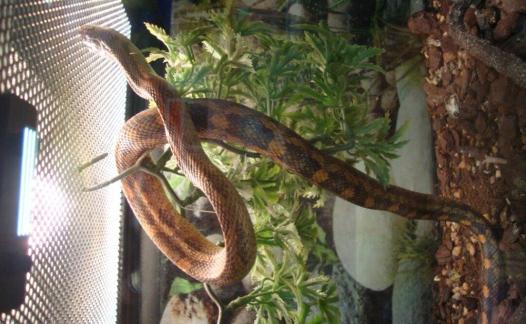 Archivo / EL UNIVERSAL