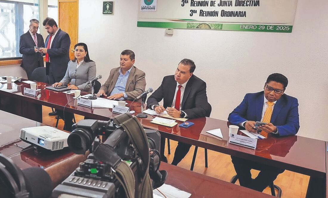 En la sesión de la Comisión de Transparencia de la Cámara de Diputados se reprobó el caso por el que presuntamente el Inai propuso a la Federación Mexicana de Futbol condonar multas. Foto Especial