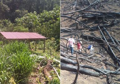 Denuncian más invasiones de talamontes chiapanecos en Los Chimalapas