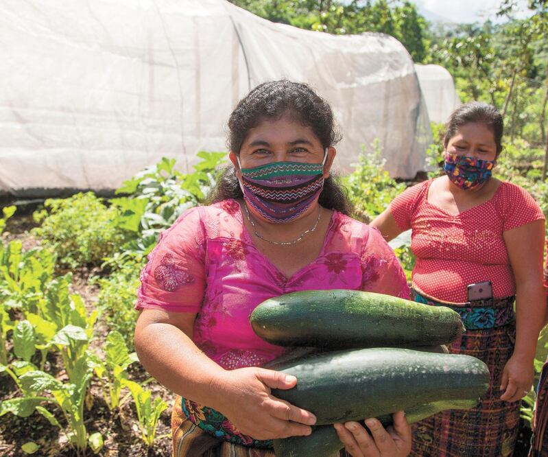 Propuest a. La capacitación gratuita que impartirá Facebook pretende llegar a 15 mil mexicanas entre este 28 de julio y hasta acabar el año. Archivo EL UNIVERSAL