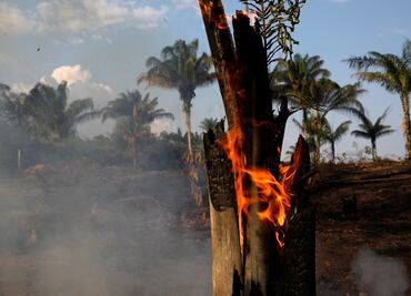 Incendios en el amazonas podrían ser provocados por ONG, insinúa Bolsonaro