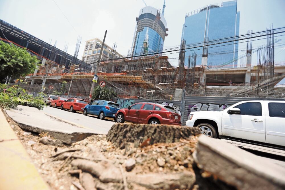 Por el derribo de 80 árboles, la procuraduría ambiental impulsará una multa equivalente a 2 mil veces los ingresos diarios de la constructora. Foto: ARCHIVO EL UNIVERSAL