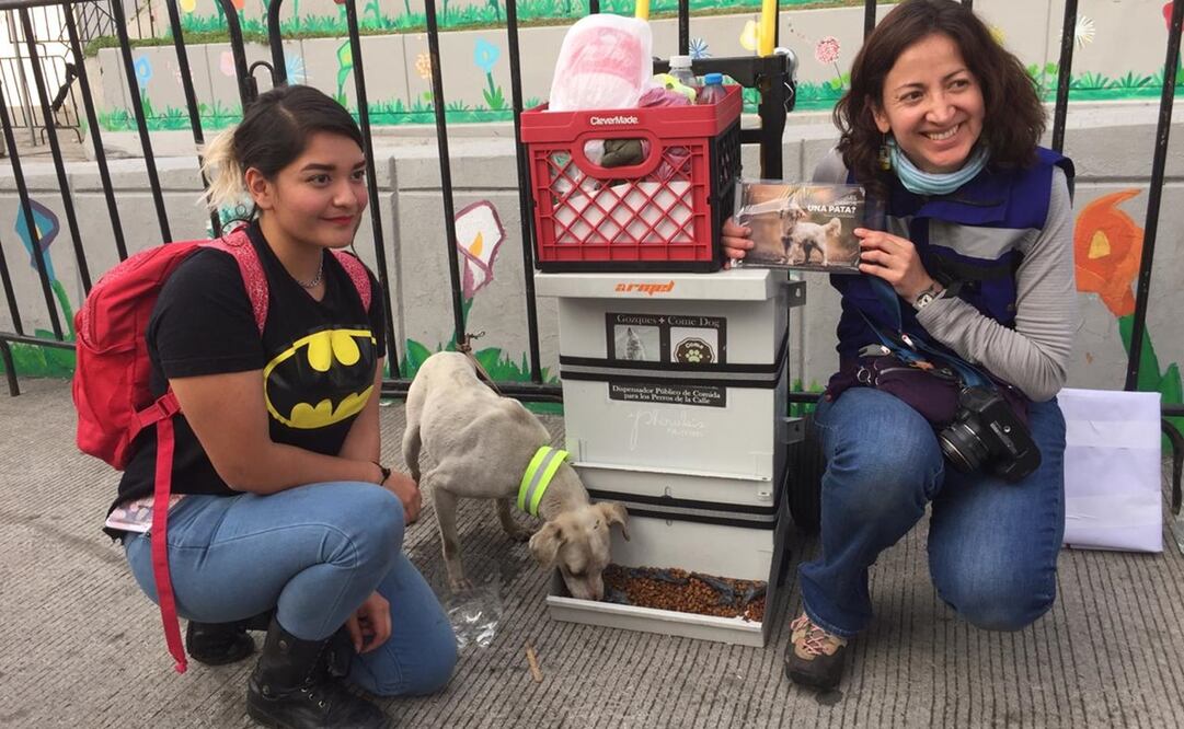 Es el segundo año que las dos voluntarias acuden para la asistencia de mascotas abandonadas durante los festejos a la Virgen/ Fotos: Perla Miranda. EL UNIVERSAL