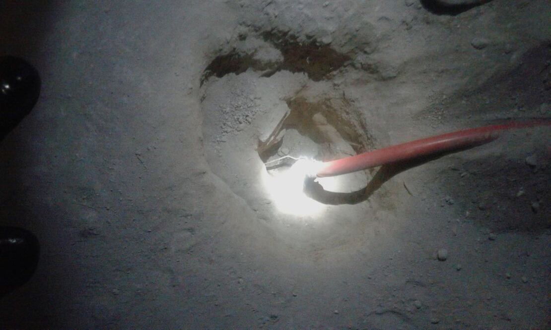 Foto: Dinorath Mota / EL UNIVERSAL