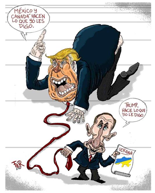 Cartón de FER