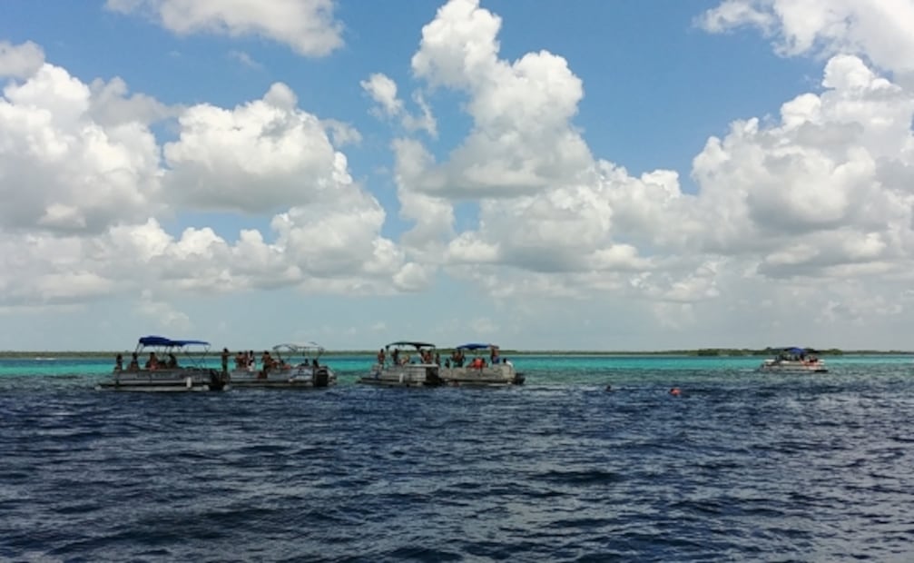 Semarnat declara 15 de julio Día Nacional de los Estromatolitos