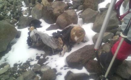 Hallan una tercera momia en montaña