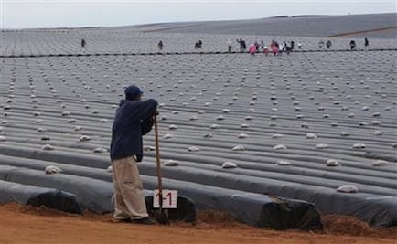 Laborers of San Quintín reach agreements with the government