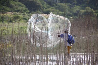 Busca Sagarpa impulsar acuacultura en México