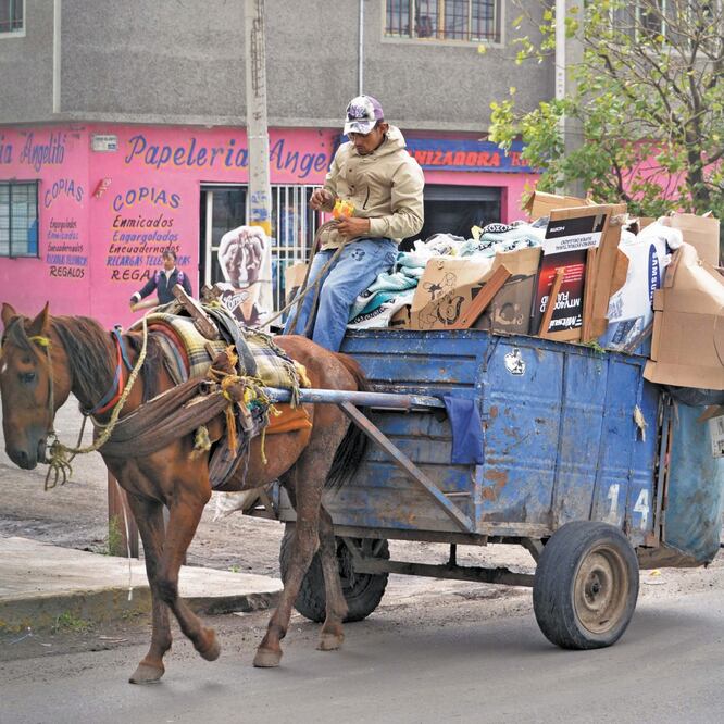 La nueva ley prohíbe el uso de animales en actividades de carga y tiro en zonas urbanas, lo que afecta a cientos de carretoneros. ARCHIVO EL UNIVERSAL