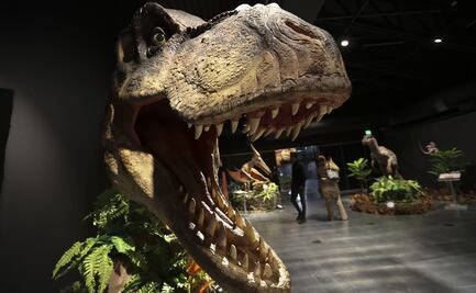¡Exposición de altura! Llegan los dinosaurios al Centro Cultural Toluca y esto es lo que debes saber 