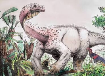 Descubren restos de un nuevo tipo de dinosaurio