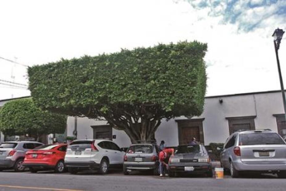 ¿Cómo mantener la pintura de mi auto impecable?