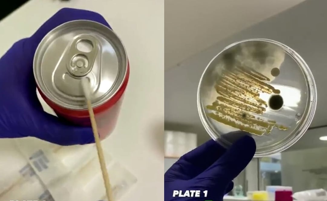 El video de las bacterias evidenció cuál es la mejor manera de limpiar las latas de refresco. Foto: X @anonimo_jones