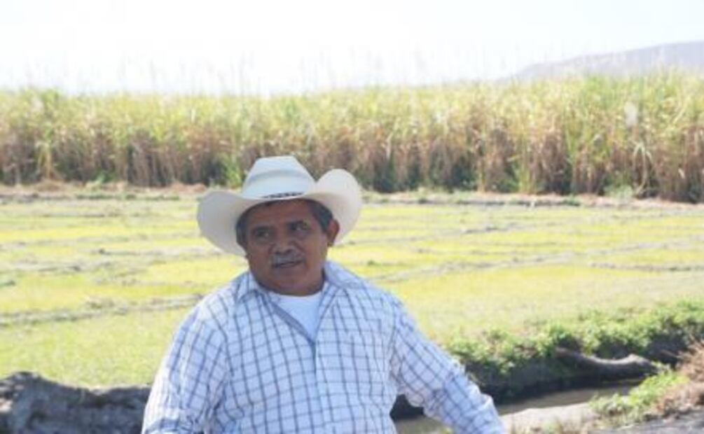 Después del temblor, Jojutla se levanta a través del arroz