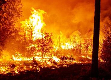 Protección Civil reporta 114 incendios activos en el país; avanzan trabajos en Tepoztlán