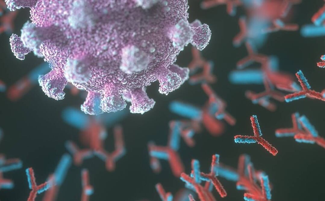 Covid-19: el gen que se vincula a que algunas personas padezcan una versión más grave de la enfermedad