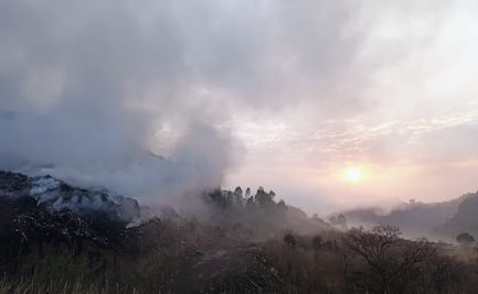 Vecinos exigen clausura del basurero de BioMerik por daño ecológico tras incendio en Rincón Verde, Naucalpan