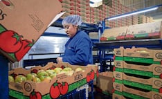 Empresarios temen barreras a exportaciones agropecuarias hacia EU