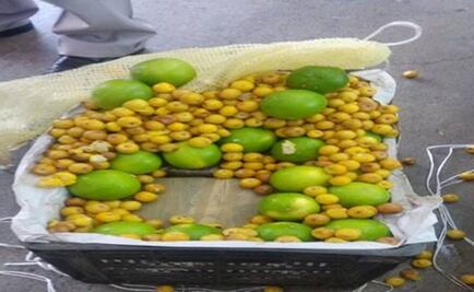 Incautan 63.6 kilos de marihuana en central de Observatorio