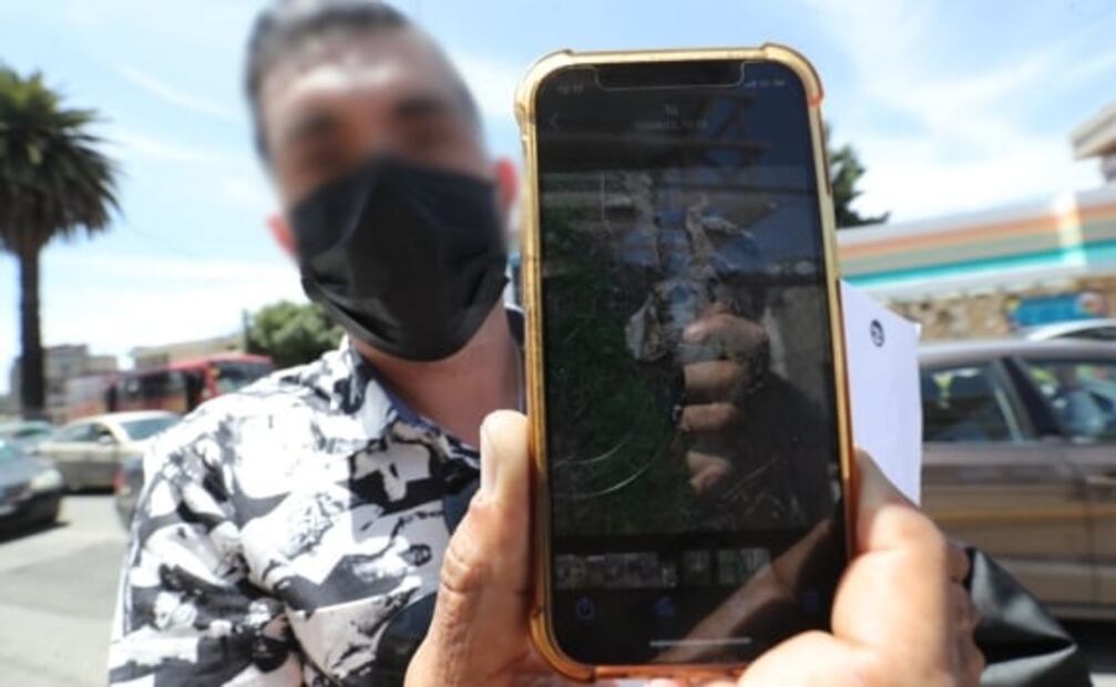 Denuncian a presunto asesino múltiple de perritos en Toluca: mató a 12 canes, acusan que se comió a uno y amenaza a vecinos