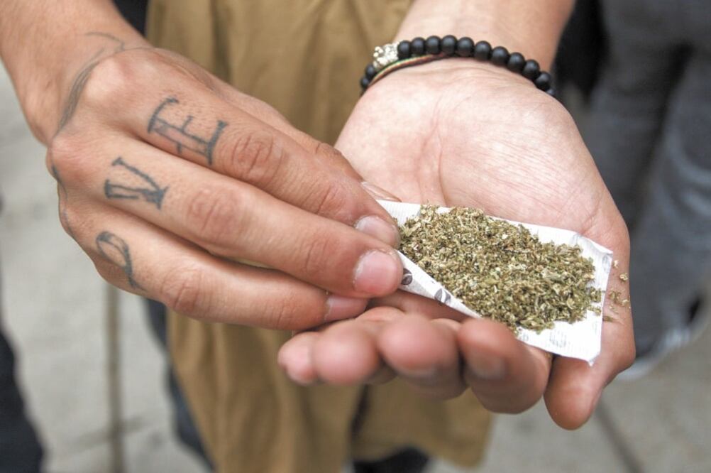 La regulación será para almacenar, comercializar, consumir, cosechar, cultivar y distribuir cannabis, entre otras actividades. Foto: ARCHIVO EL UNIVERSAL