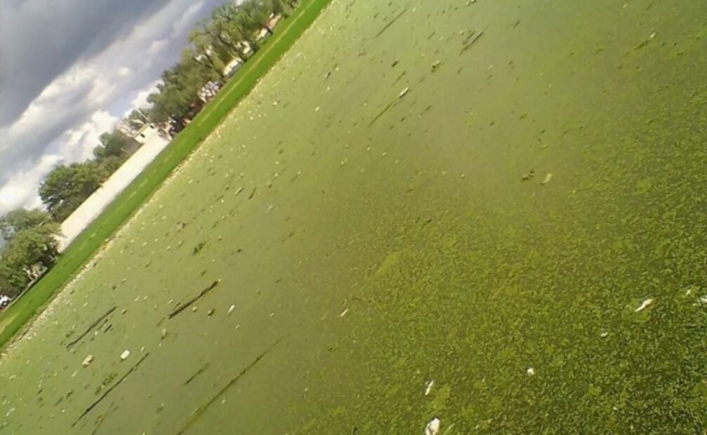 Activista denuncia a sector público y privado de contaminación en Hidalgo