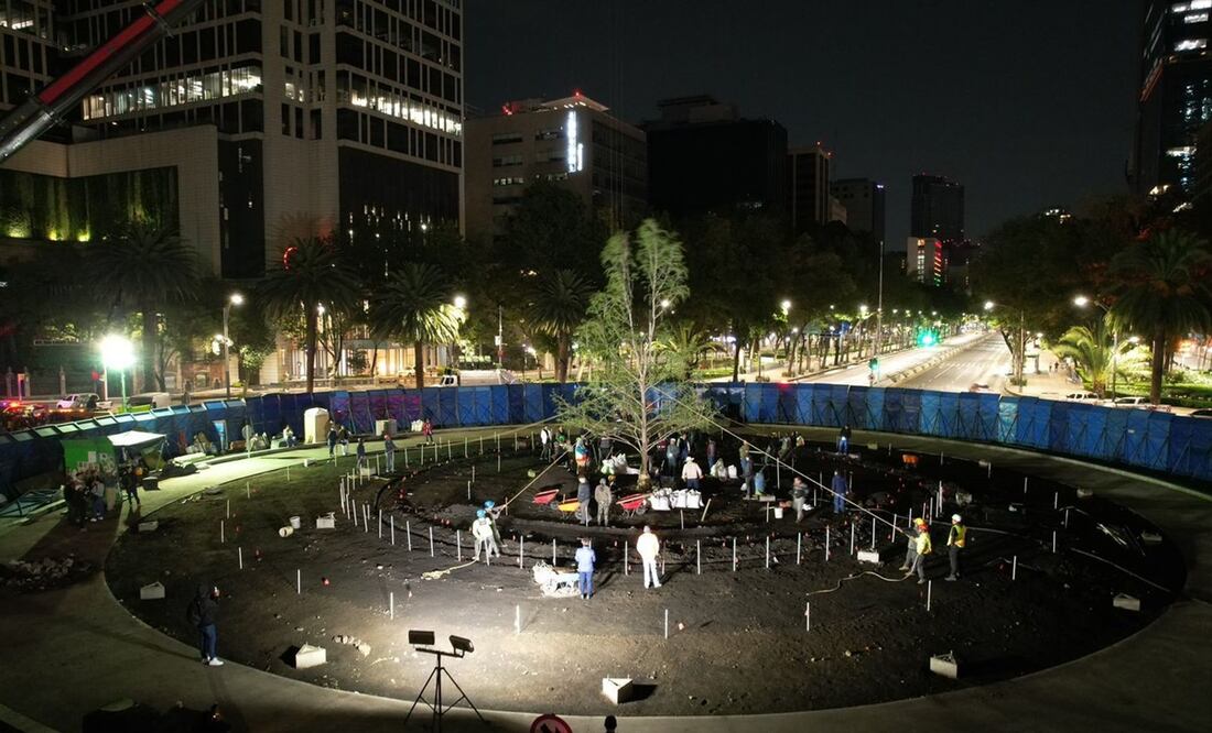 Reforma tiene nuevo ahuehuete. Foto: Especial