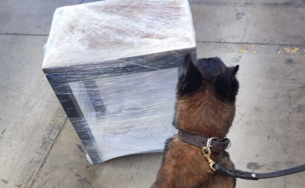 Detectan 2 mil pastillas de posible fentanilo oculto en base de mesa que sería enviada por mensajería 