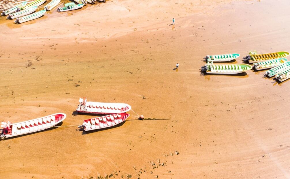 Foto: Damián Sánchez / Cuartoscuro.com