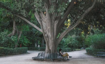 Soledad no deseada, grave riesgo de salud