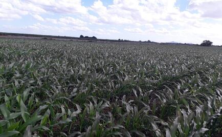 Alertan por posible ingreso de Frente Frío 26 a Sonora