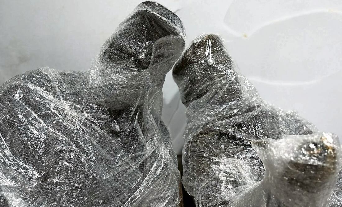 Tras el retiro de las esculturas de Fidel Castro y de Ernesto Che Guevara de un parque de la alcaldía Cuauhtémoc, la embajada de Cuba en México cuestionó el hecho, la presidenta Claudia Sheinbaum pidió que se reubicaran y el Partido Comunista Mexicano dijo que fue una decisión arbitraria, pero la alcaldesa Alessandra Rojo de la Vega afirmó que los vecinos deben decidir su destino y que no se reubicarán porque rinden homenaje a un régimen dictatorial. Foto: Especial