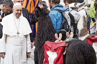 “Me equivoqué”, dice Papa a los chilenos