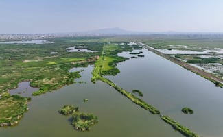 Ecatepec recupera 123 hectáreas del humedal "El Caracol"; prevén convertirlo en parque ecológico más grande del Valle de México