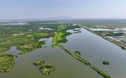 Ecatepec recupera 123 hectáreas del humedal "El Caracol"; prevén convertirlo en parque ecológico más grande del Valle de México
