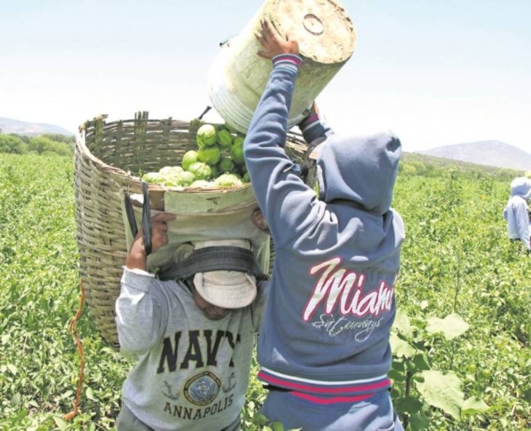 En el limbo, vacunación de jornaleros migrantes