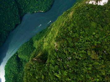 Selección de la editora: 5 paraísos de vida silvestre en México que otros países envidiarían