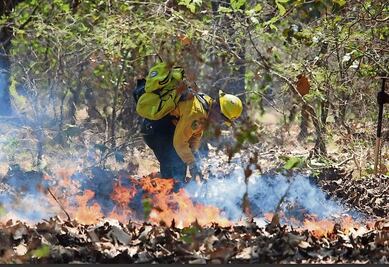 CDMX registra 716 incendios forestales en lo que va de 2023