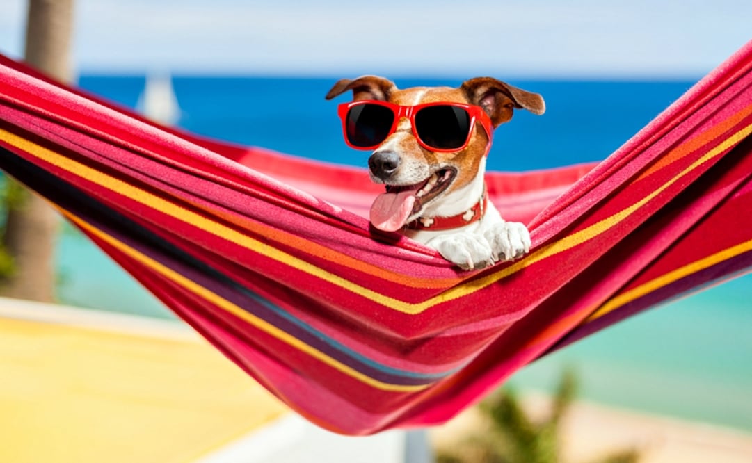 En lugares cálidos y húmedos es donde corren más peligro