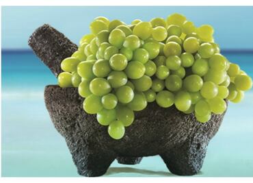 Sol, arena y sabor en Cancún