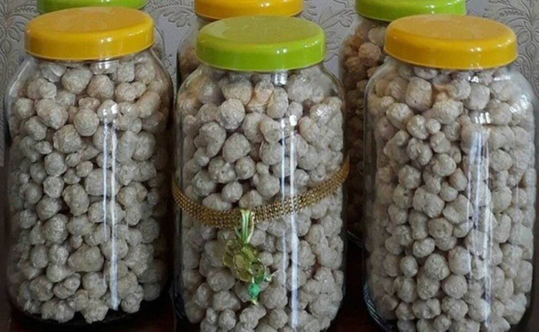 "Comida de perro" llega a escuelas de Brasil