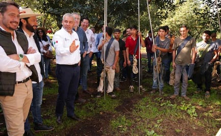 Gobernador de Michoacán anuncia próxima emisión de decreto para certificación de buenas prácticas del cultivo de aguacate